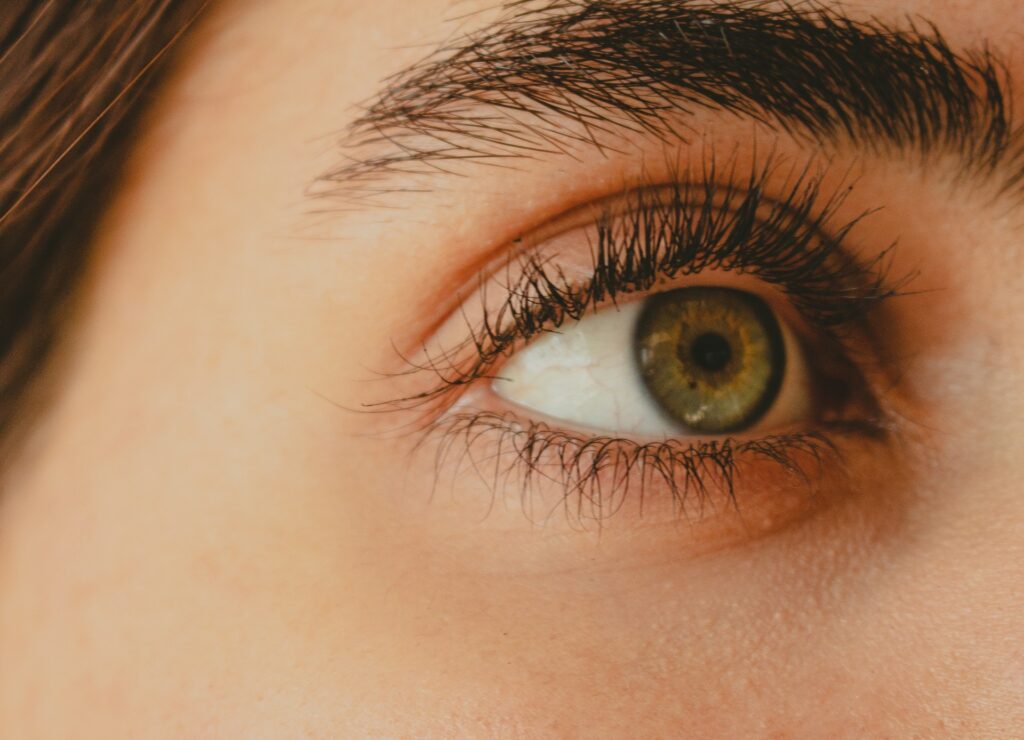 ombre brows
